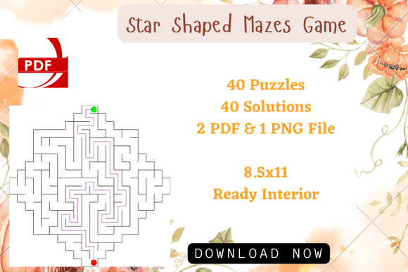 Download Star Maze Puzzles Activity for Kids Book - Premium Resources