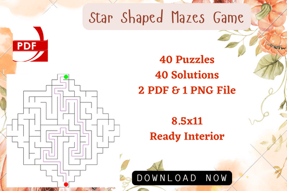 Download Star Maze Puzzles Activity for Kids Book - Premium Resources