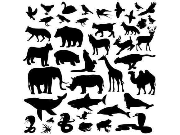 Download Icons Mammal,vector Illustration - Illustration Collection