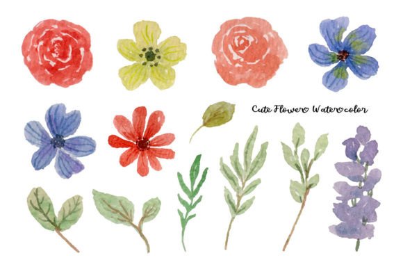 Download Beautiful Flower and Leaf Watercolor - Beautiful flower Collection