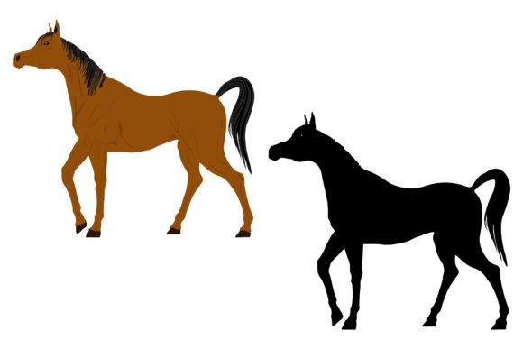 Download Arabian Horse Illustration, Horse Mammal - Illustration Collection