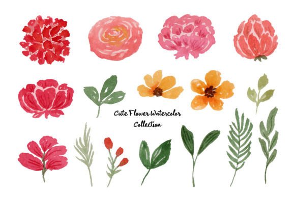 Download Beautiful Flower and Leaf Watercolor - Beautiful flower Collection